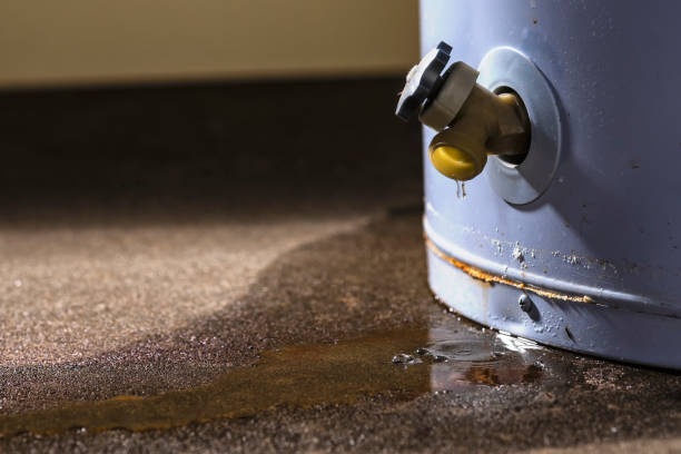 Best Flooded house restoration  in Columbia Falls, MT