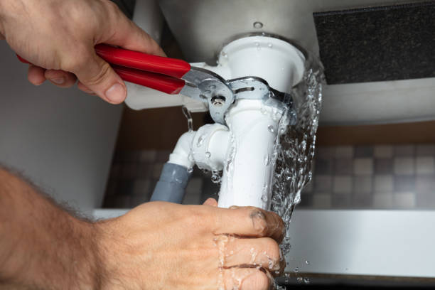 Best Mold removal after water damage  in Columbia Falls, MT