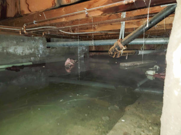 Best Flooded house restoration  in Columbia Falls, MT