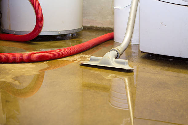 Best Fire Damage Restoration  in Columbia Falls, MT