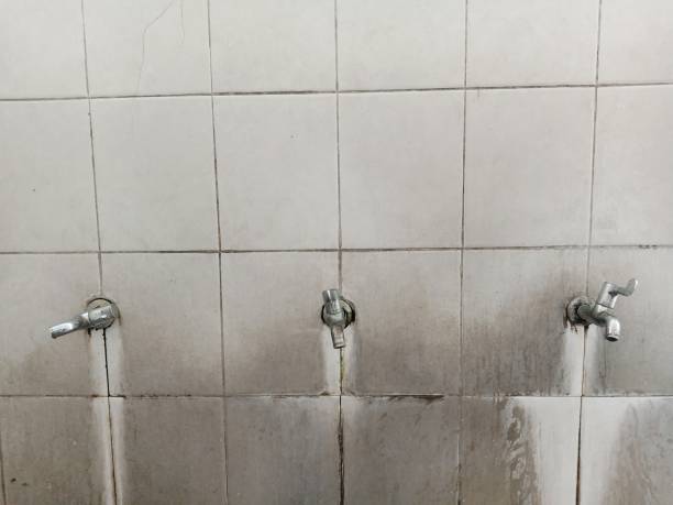 Best Residential water damage restoration  in Columbia Falls, MT