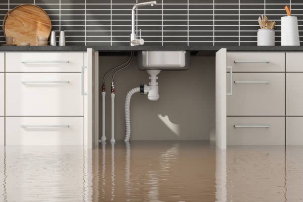 Best Flood restoration services  in Columbia Falls, MT