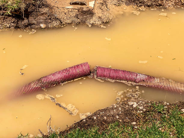 Best 24/7 water damage repair  in Columbia Falls, MT