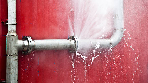 Best Ceiling water damage repair  in Columbia Falls, MT